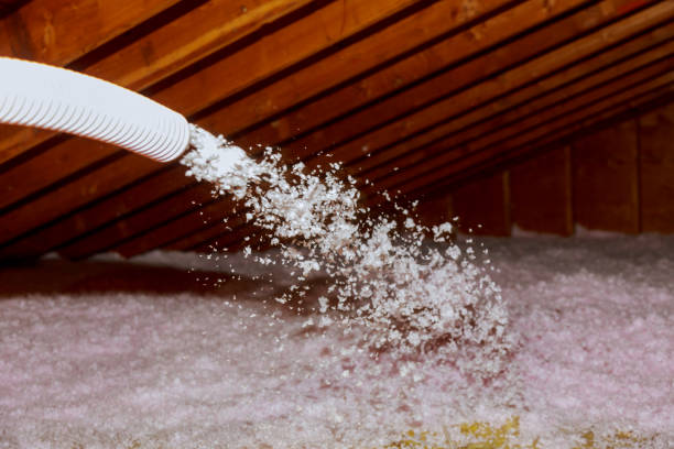Best Residential Insulation Services  in North Hobbs, NM