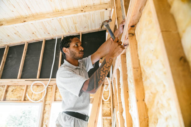 Best Insulation Removal  in North Hobbs, NM